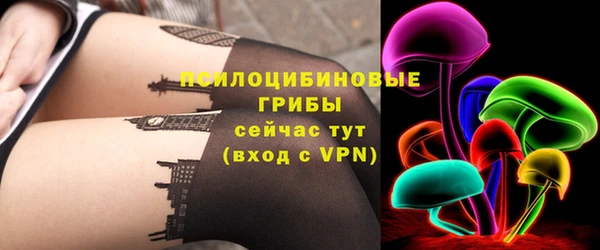 шишки Абинск
