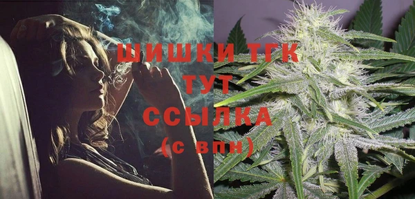 шишки Абинск