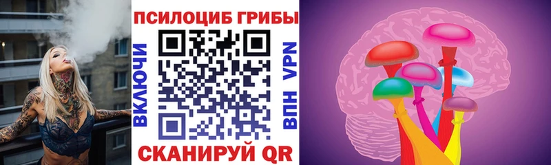 omg зеркало  Нижняя Тура  Галлюциногенные грибы прущие грибы 